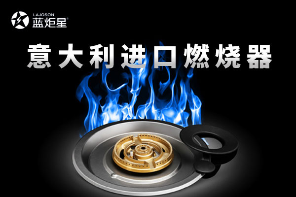 2016年藍炬星電器與DEFENDI(蒂芬迪)燃燒器簽約儀式現場