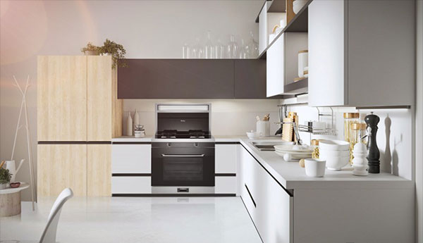 藍炬星D6Z集成灶