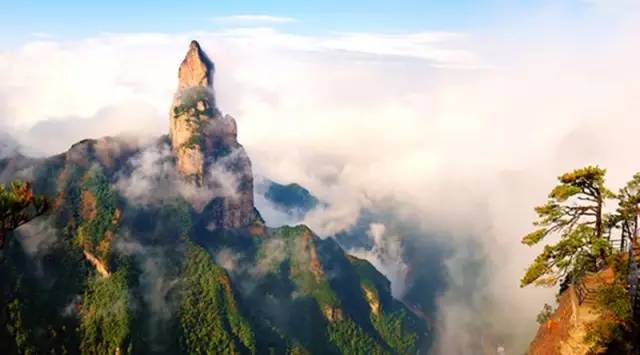 喜訊！浙江仙居葉總成功加盟藍炬星